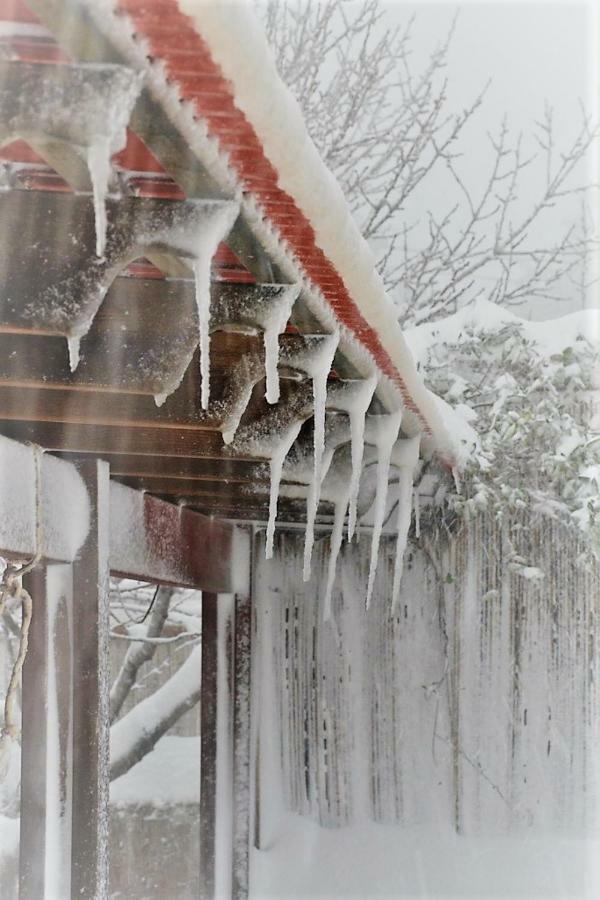 Si-Har Chalets Nimrod Exteriör bild